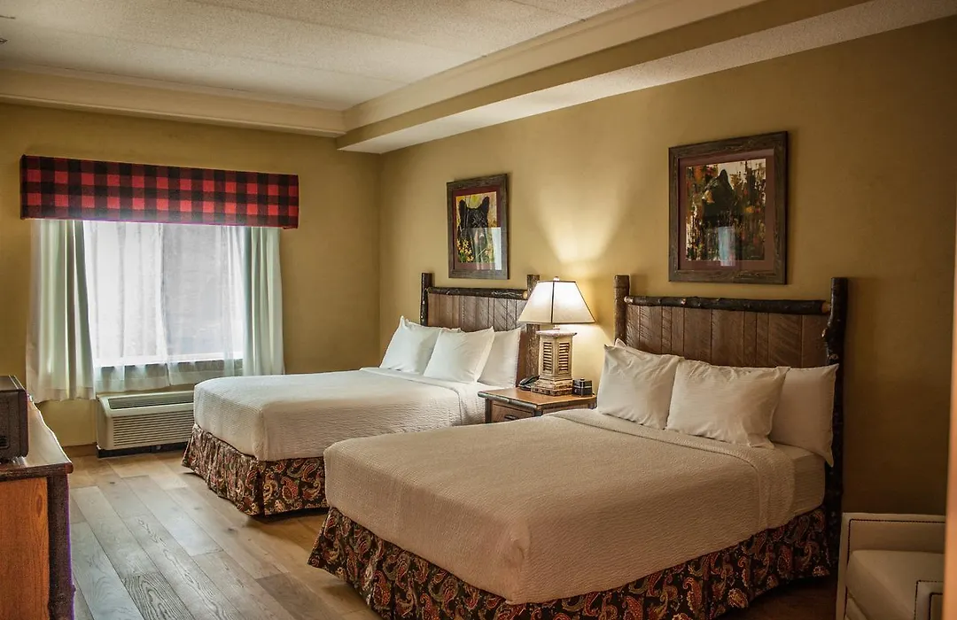 The Appy Lodge-1