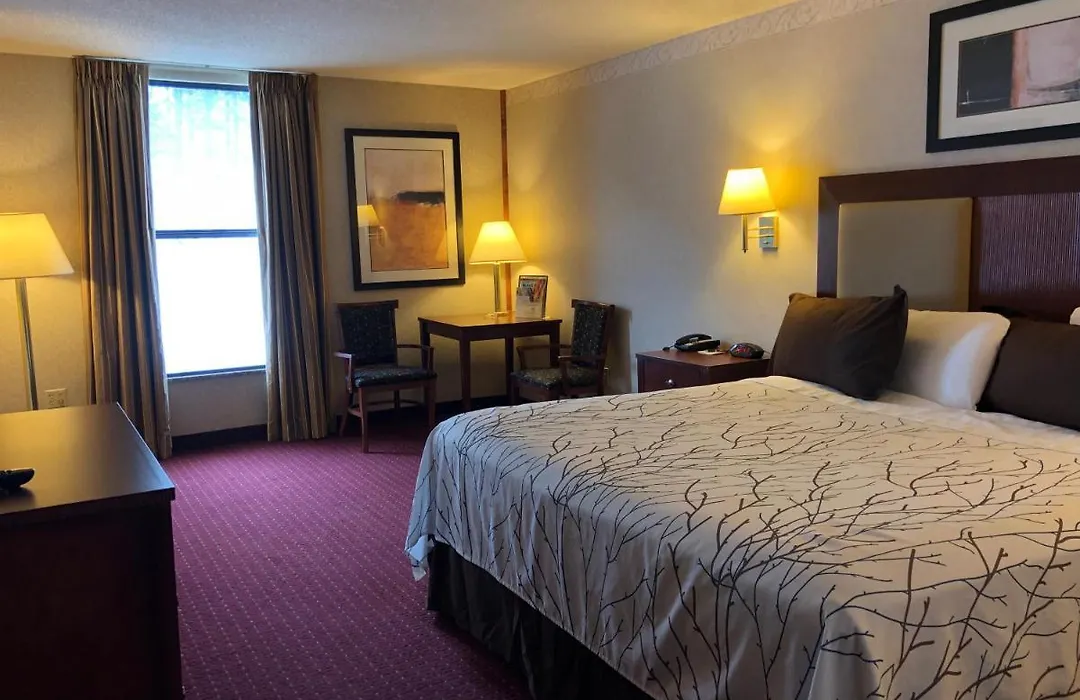 Mineral Palace Hotel & Gaming-1