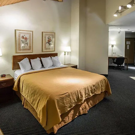 Quality Inn Dundee-3