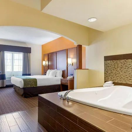 Comfort Suites Stevensville - St Joseph-2