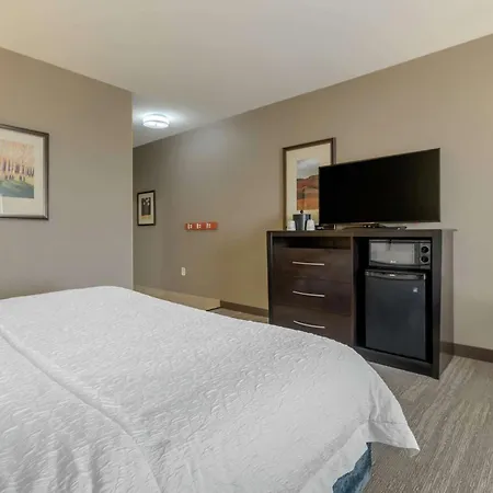 Hampton Inn Alamosa-3