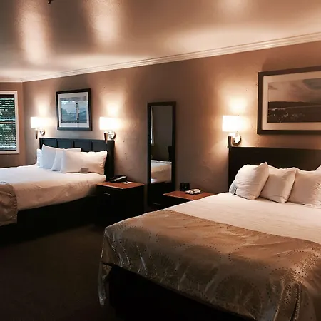 Best Western Wesley Inn & Suites-3