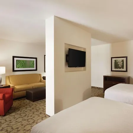 Hilton Garden Inn Rochester Downtown, Ny-3