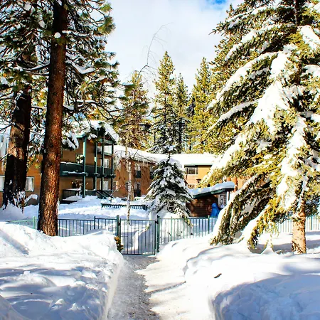 Forest Suites Resort At The Heavenly Village-2