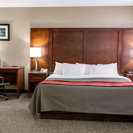 Comfort Inn Kearney - Liberty-3