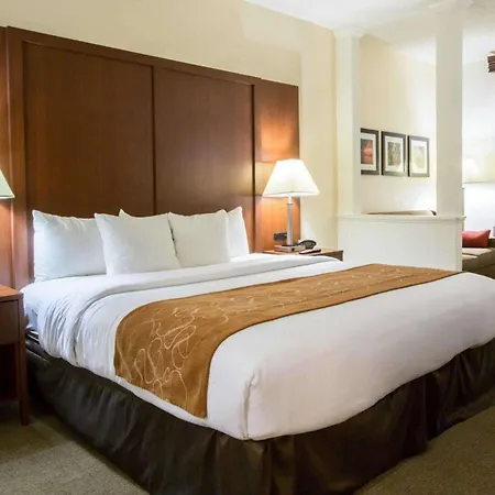 Comfort Suites Cumming-Atlanta Near Northside Hospital Forsyth-3