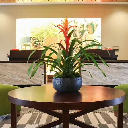 Hotel Indigo Traverse City By Ihg-2