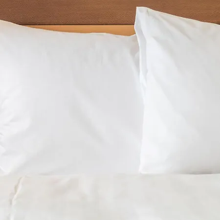 Holiday Inn Express Hotel & Suites Pigeon Forge By Ihg-2