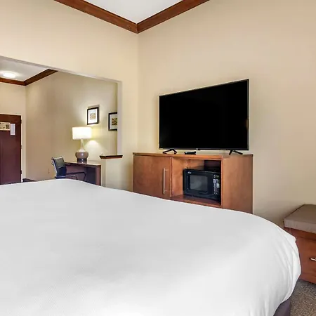 Comfort Inn & Suites Statesboro - University Area-2