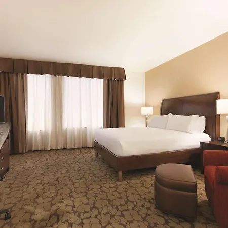 Hilton Garden Inn Rochester Downtown, Ny-2