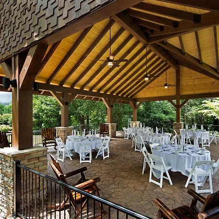 The Park Vista - A Doubletree By Hilton Hotel - Gatlinburg-3