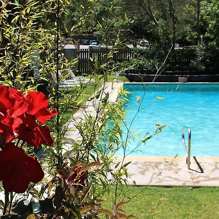 Big Sur River Inn-3