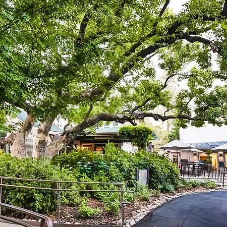 Appellation Lodi - Wine & Roses Resort And Spa-2