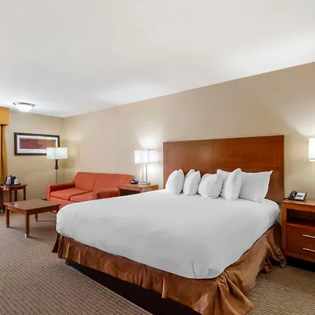 Best Western Cotton Tree Inn-3