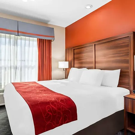 Comfort Suites Roswell North-2