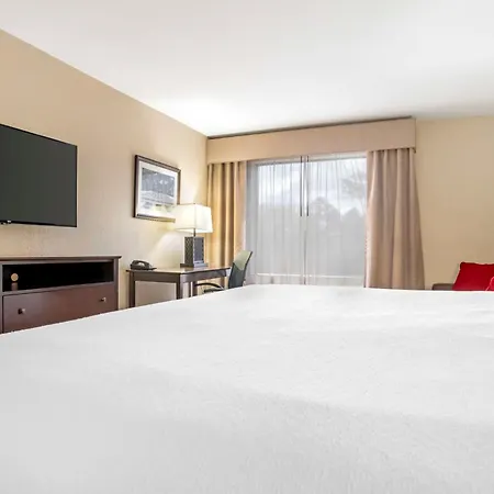 Best Western Gardendale-3