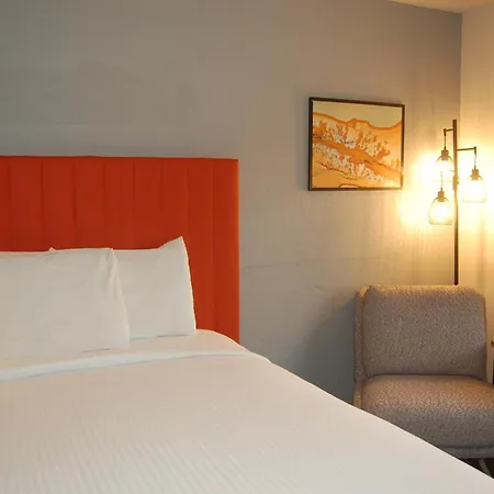 Vacation Lodge-3