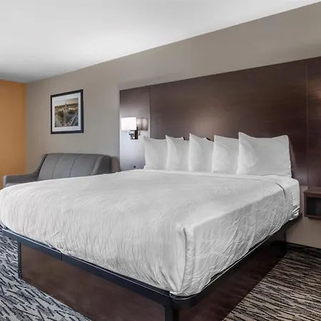 Best Western Plus Denton Inn & Suites-3