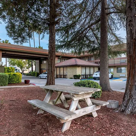Best Western Orchard Inn-2