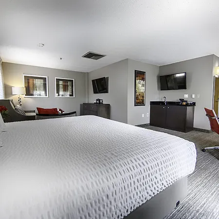 Hotel Capstone-3