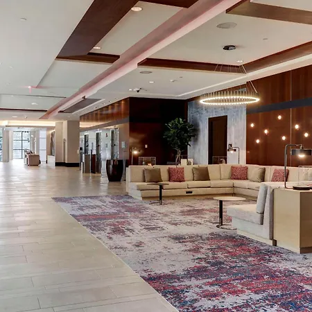 Hilton University Of Houston-2