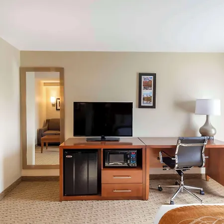 Comfort Inn Kennesaw-3