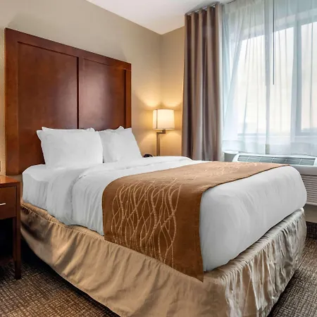 Comfort Inn & Suites South Hill I-85-2
