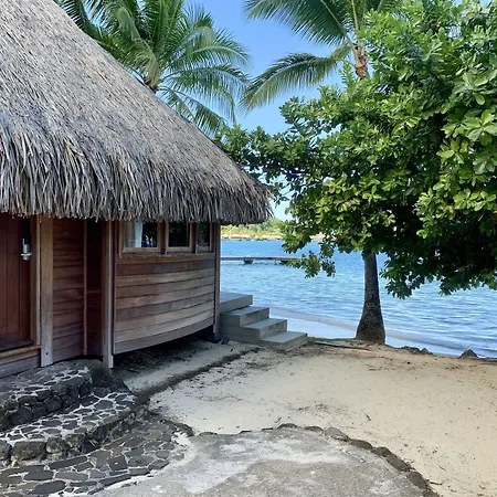 Maitai Bora Bora-3