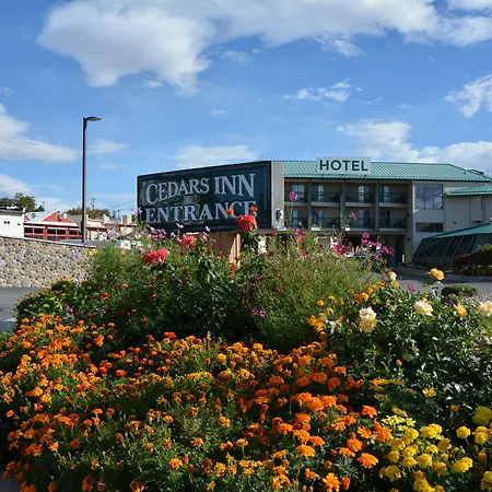 Cedars Inn-3
