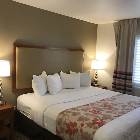 Hawthorn Suites-2