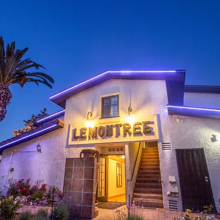 Lemon Tree Hotel And Suites-2