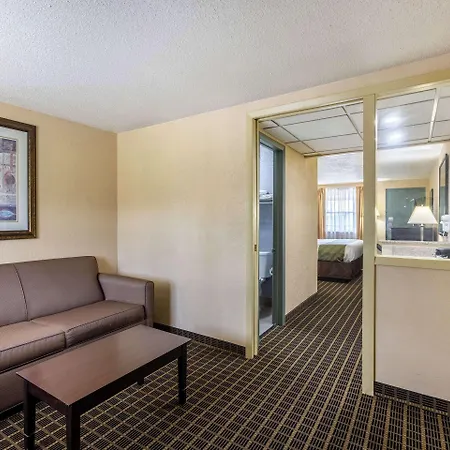 Quality Inn & Suites Big Rapids Near University-3