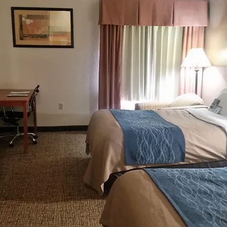 Comfort Inn Downtown - University Area-2