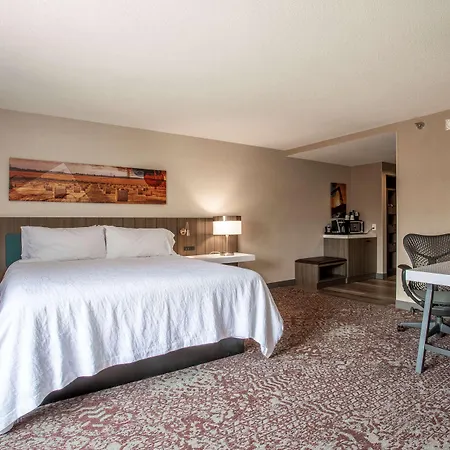 Hilton Garden Inn Mankato Downtown-2