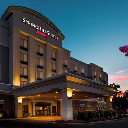 Springhill Suites Hampton-3