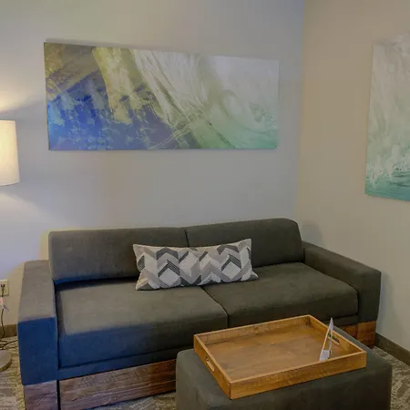 Springhill Suites By Marriott Macon-3