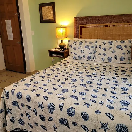 Villa Coral Guesthouse-2