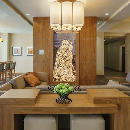 Hyatt Place Houston Galleria-2