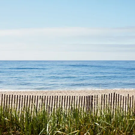 Marram-2