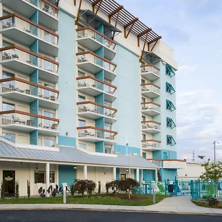 Margaritaville Island Inn-2