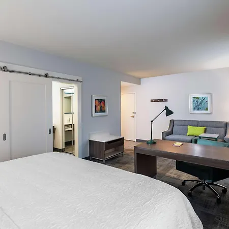 Hampton Inn & Suites Snellville Atlanta Ne-2