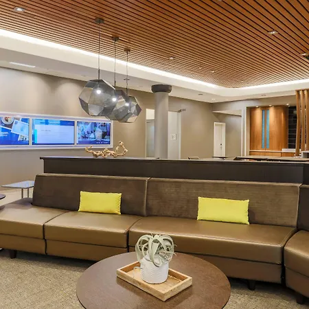 Springhill Suites By Marriott Tallahassee North-2