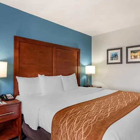 Comfort Inn & Suites Lees Summit - Kansas City-3