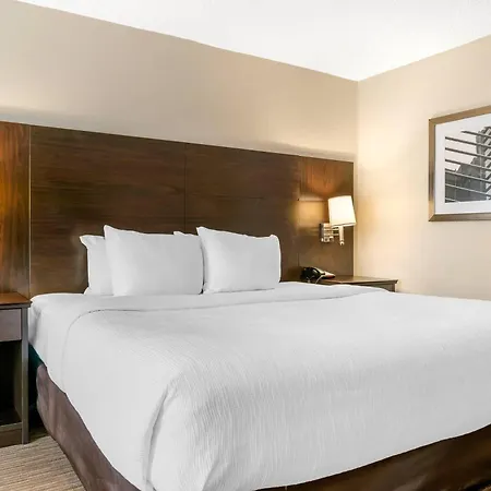 Quality Inn & Suites Monroe-3