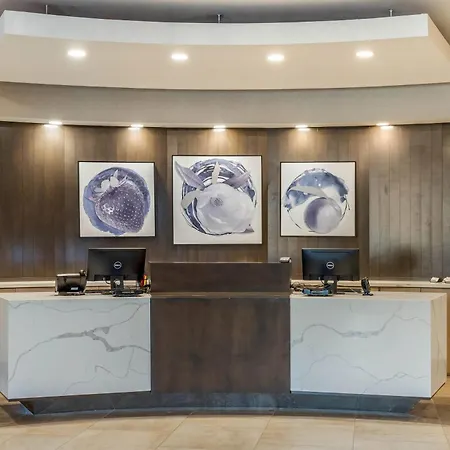 Cambria Hotel Fort Mill-3