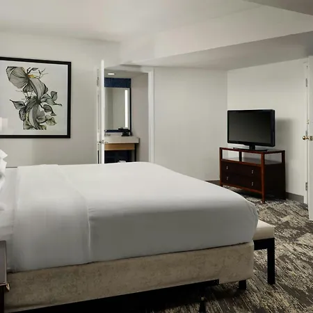 Sheraton Tampa Brandon Hotel-3