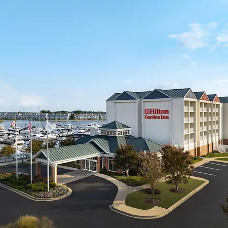Hilton Garden Inn Kent Island Marina-3