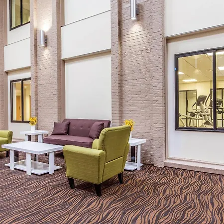 Sleep Inn Dallas Love Field-Medical District-3