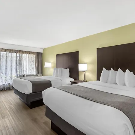 Best Western Asheville-Blue Ridge Parkway-3