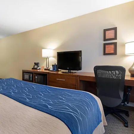 Comfort Inn Iron Mountain North-3